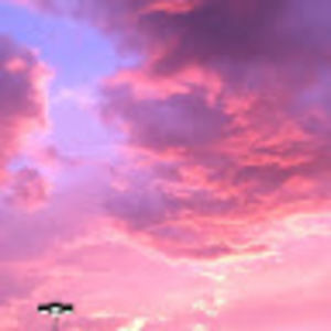 Meet your Posher, Elle